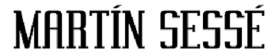 Martin Sesse Logo